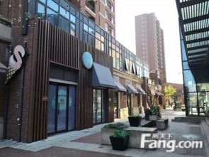 上海松江300-500萬(wàn)商鋪投資指南 高性價(jià)比商業(yè)地產(chǎn)精選推薦